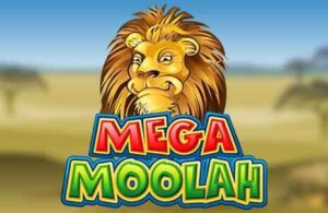 Mega Moolah Spielautomat bei Winbay casino