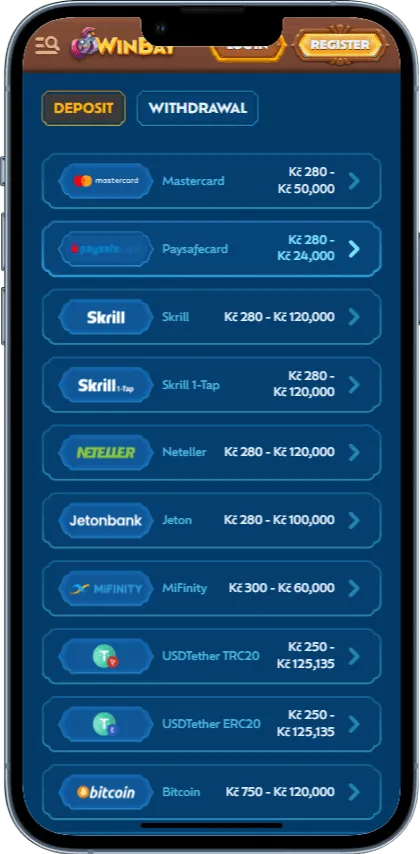 Zahlungsmöglichkeiten in der Winbay Casino App